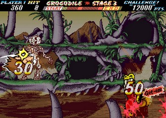 image de The First Funky Fighter